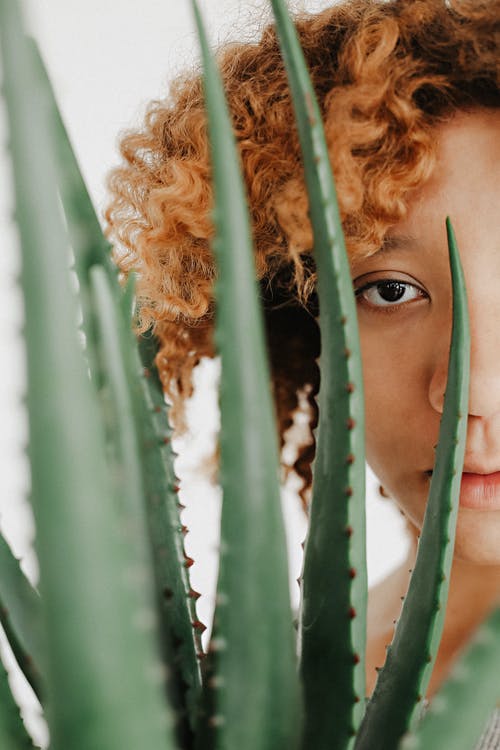 Aloe Vera: An Age-Old Herb Against Skin Aging