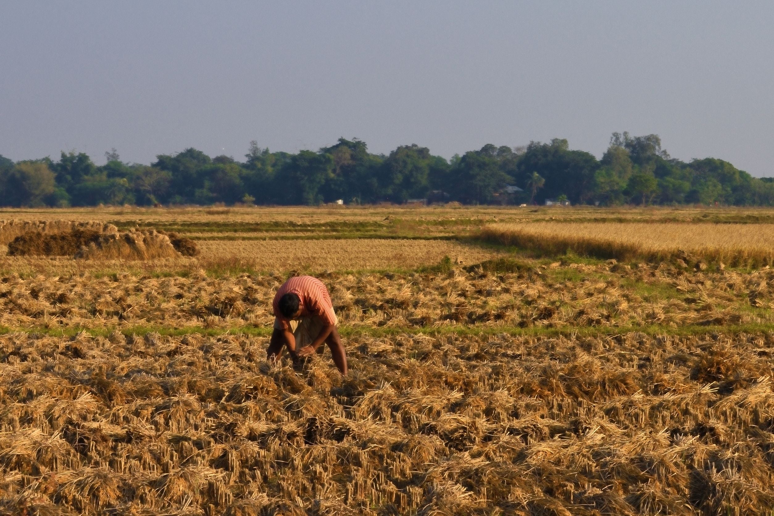 Climate Change's Impact on Food Systems: Why We All Should Care