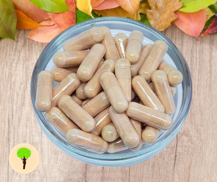 5 Interesting Health Facts About Goji Berry