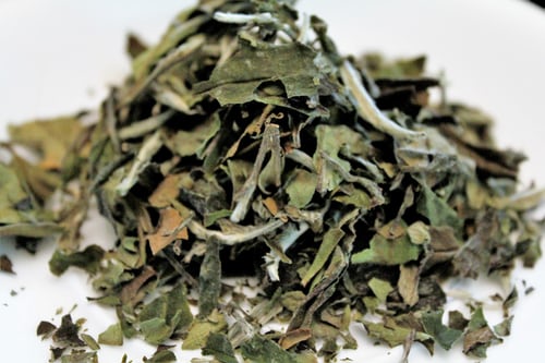 Four Secrets of Green Tea on Your Weight That You Should Know