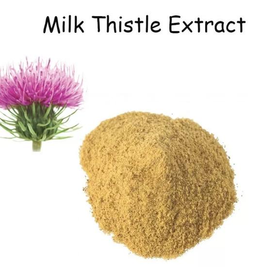 Milk Thistle For Your Liver Health