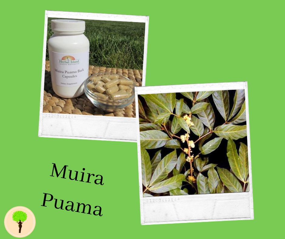 Understanding The Link Between Muira Puama And Your Sexual Drive
