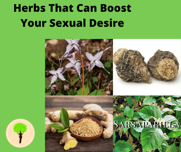 4 Sex Boosting Herbs For Men And Women That You Should Know