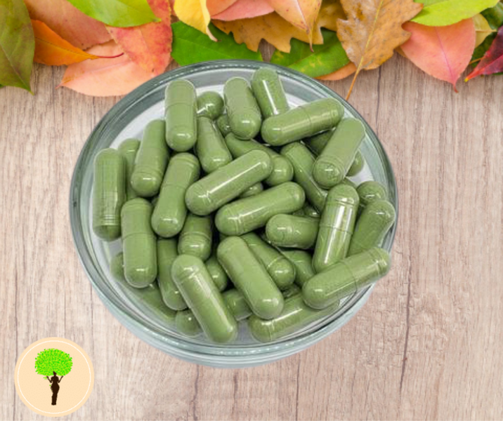 7 Reasons Why You Should Include Wheatgrass In Your Health Regimen