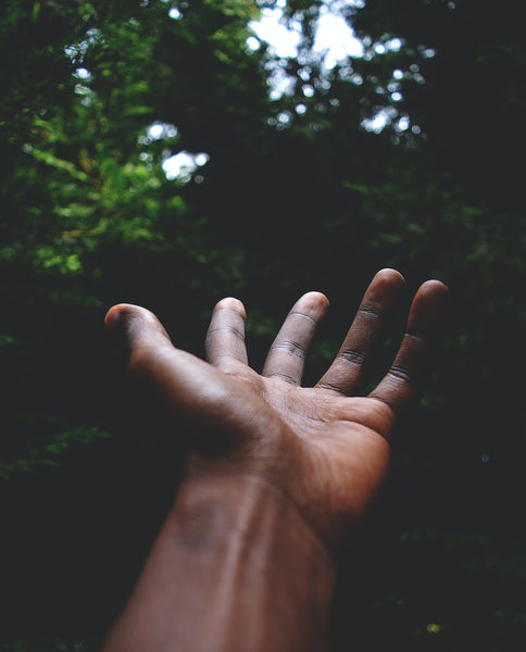 The Power of Traditional African Medicine: Ancient Wisdom for Modern Healing