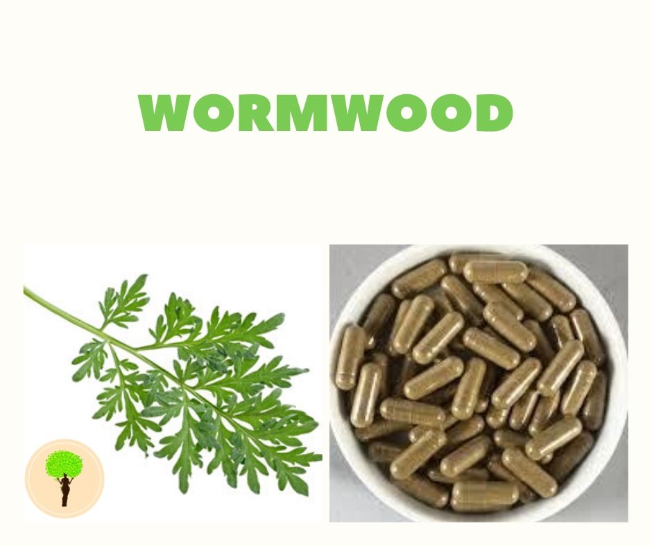 Wormwood - The Parasite Cleanser